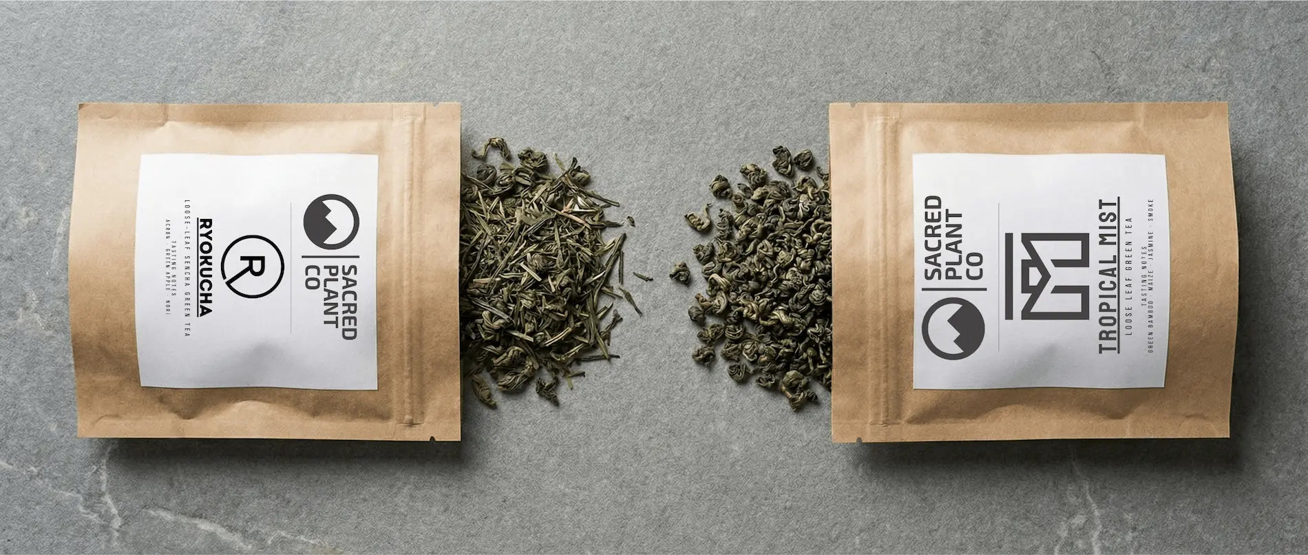 Hero comparison of needle-shaped Japanese Sencha and curled Chinese Chun Mei loose leaf green tea spilling from Sacred Plant Co Bag.