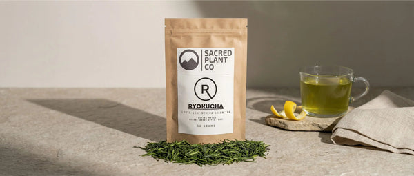 Minimalist infographic showing a 21-day liver reset protocol with Sacred Plant Co Ryokucha green tea, five traditional liver herbs, and detox pathway icons.