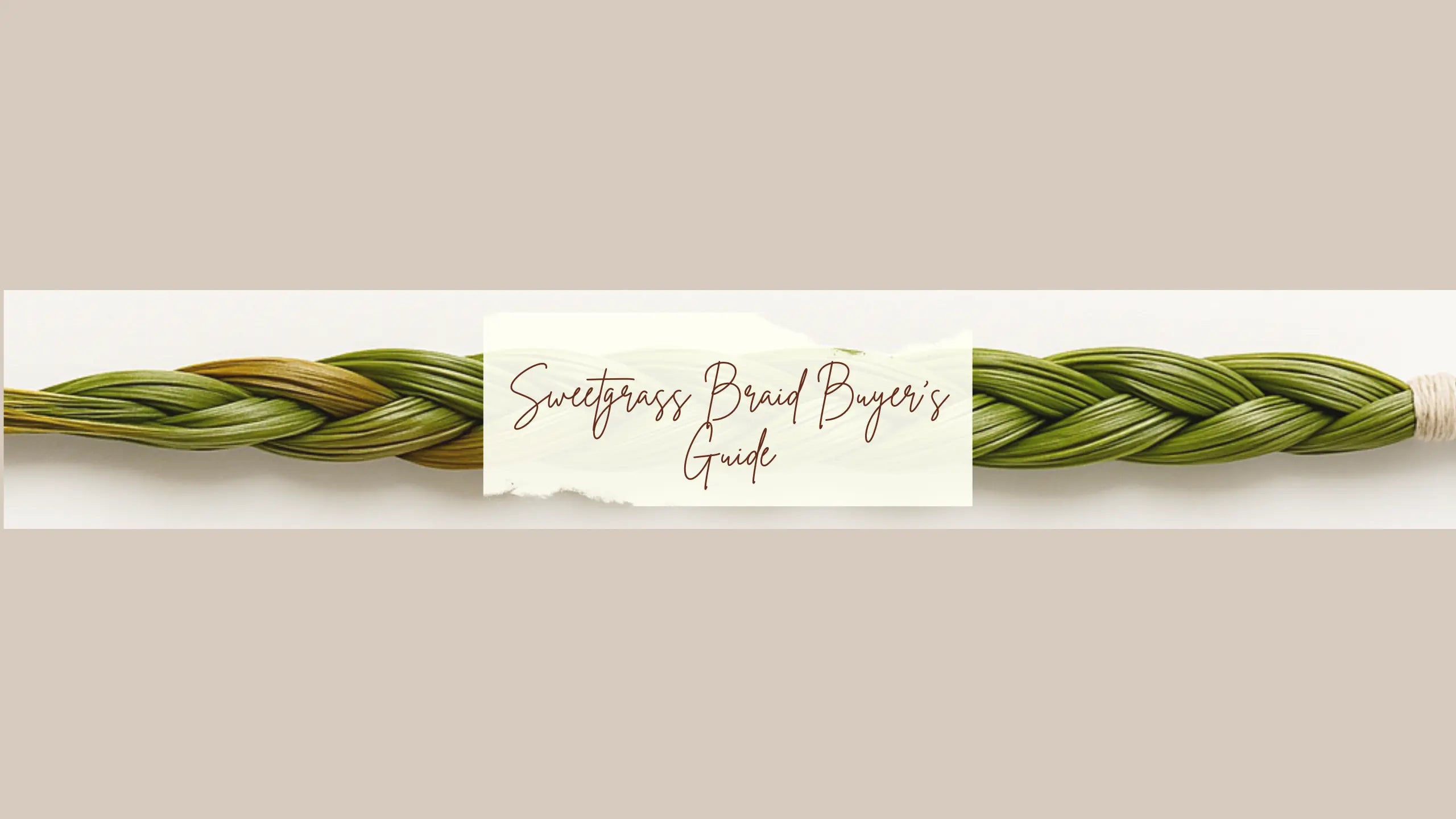 Close-up hero of a fresh green Sweetgrass braid on a neutral background with a torn-paper label reading “Sweetgrass Braid Buyer’s Guide.