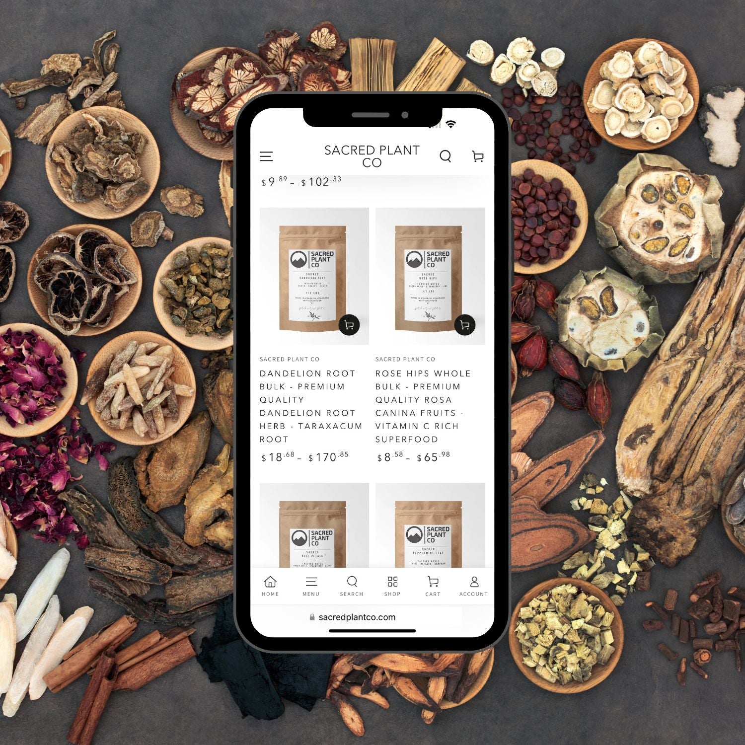 A creative representation of Sacred Plant Co's online presence, featuring traditional Chinese Medicine herbs like Ginseng and Astragalus artistically arranged around a digital device displaying the website