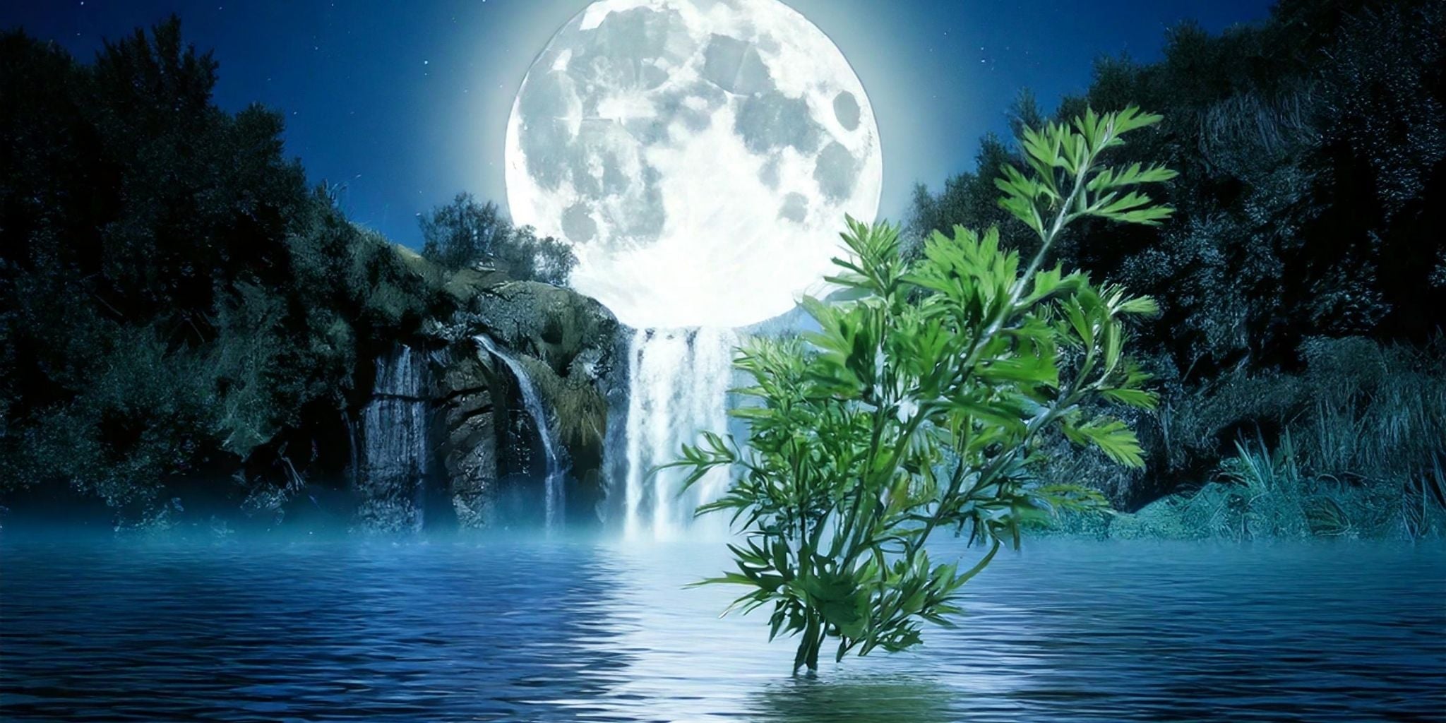 A vibrant Mugwort plant rises from a reflective body of water under the luminous glow of a full moon.