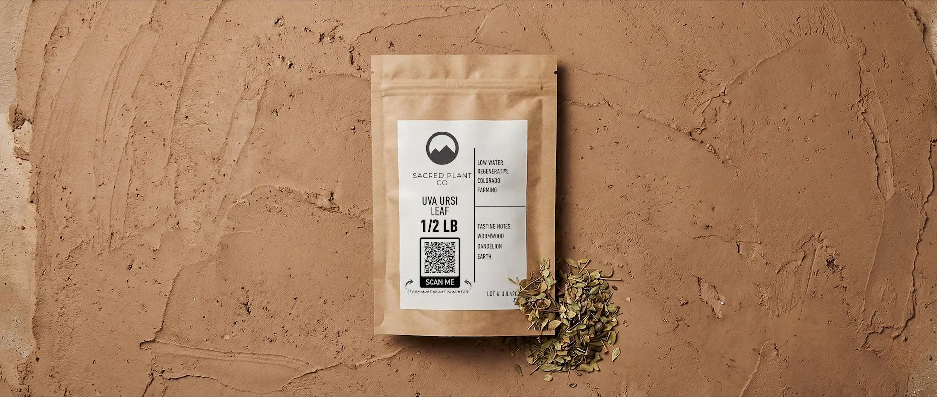 Herbal Remedies for UTIs: Natural Solutions for Urinary Health