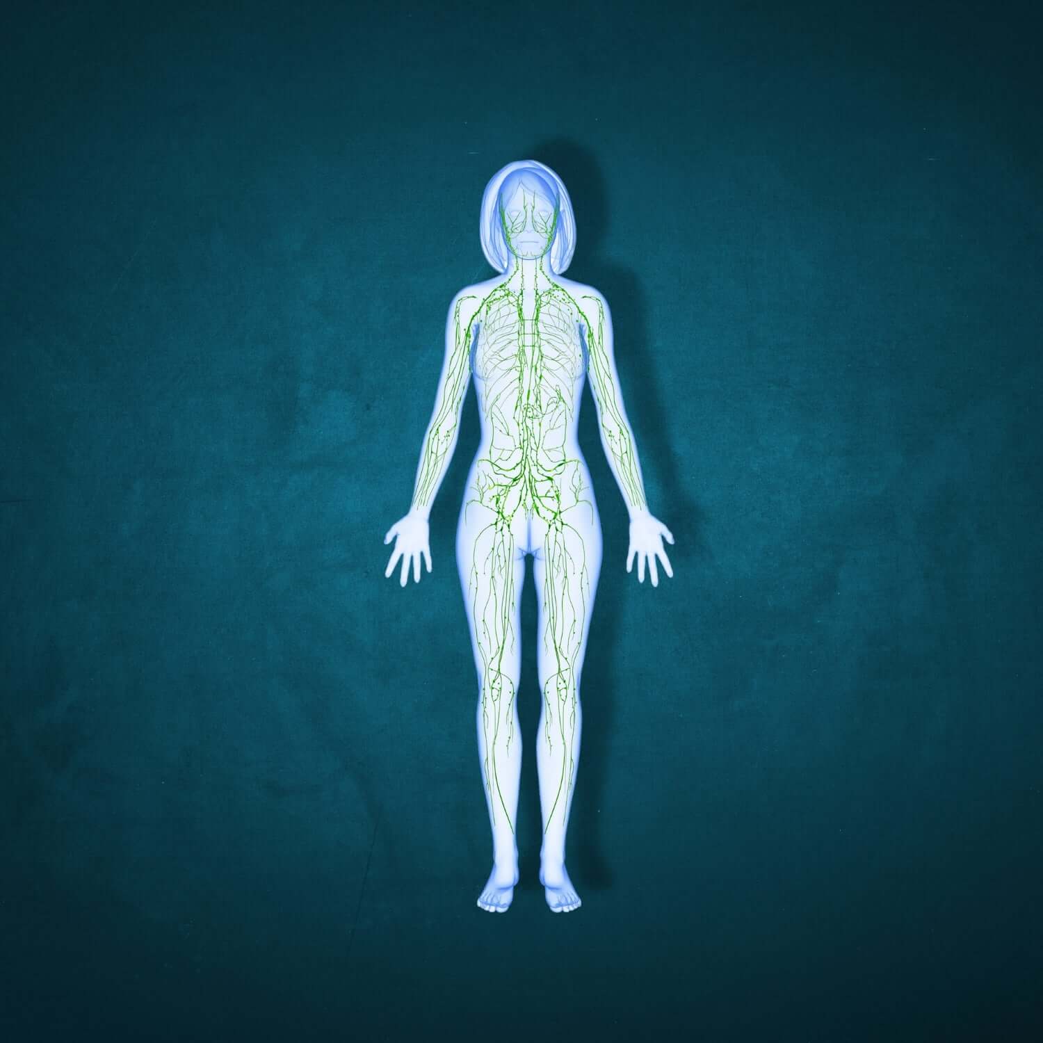 Enhancing Lymphatic Health: Discover the Power of Sacred Plant Co's Herbs