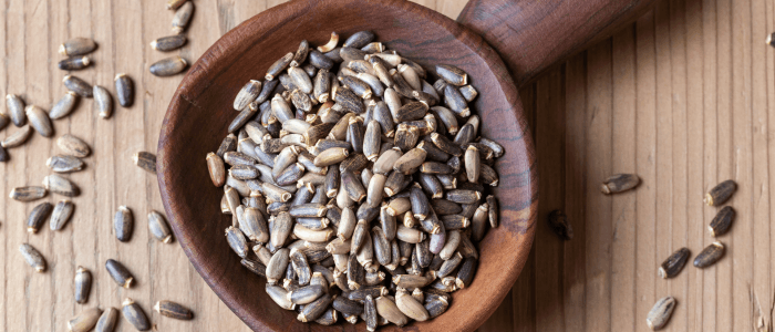 milk thistle seeds for detox.
