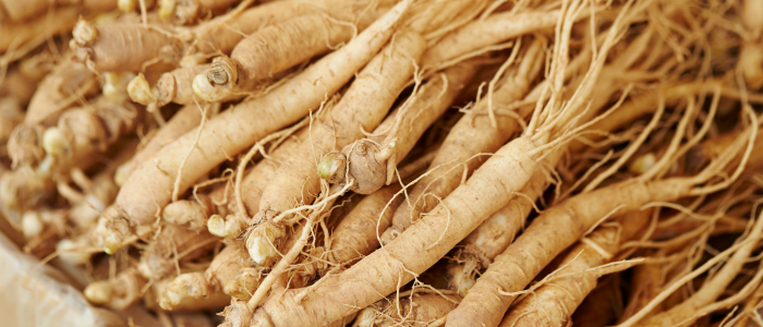 American Ginseng: The Root of Vitality