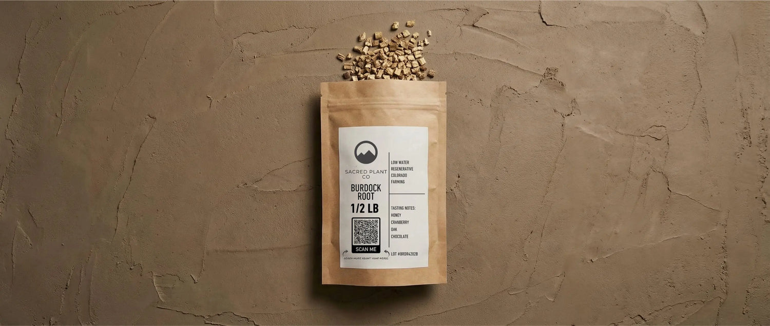 Dried Burdock root pieces spilling from Sacred Plant Co paper packaging onto a textured, earth-tone clay background.