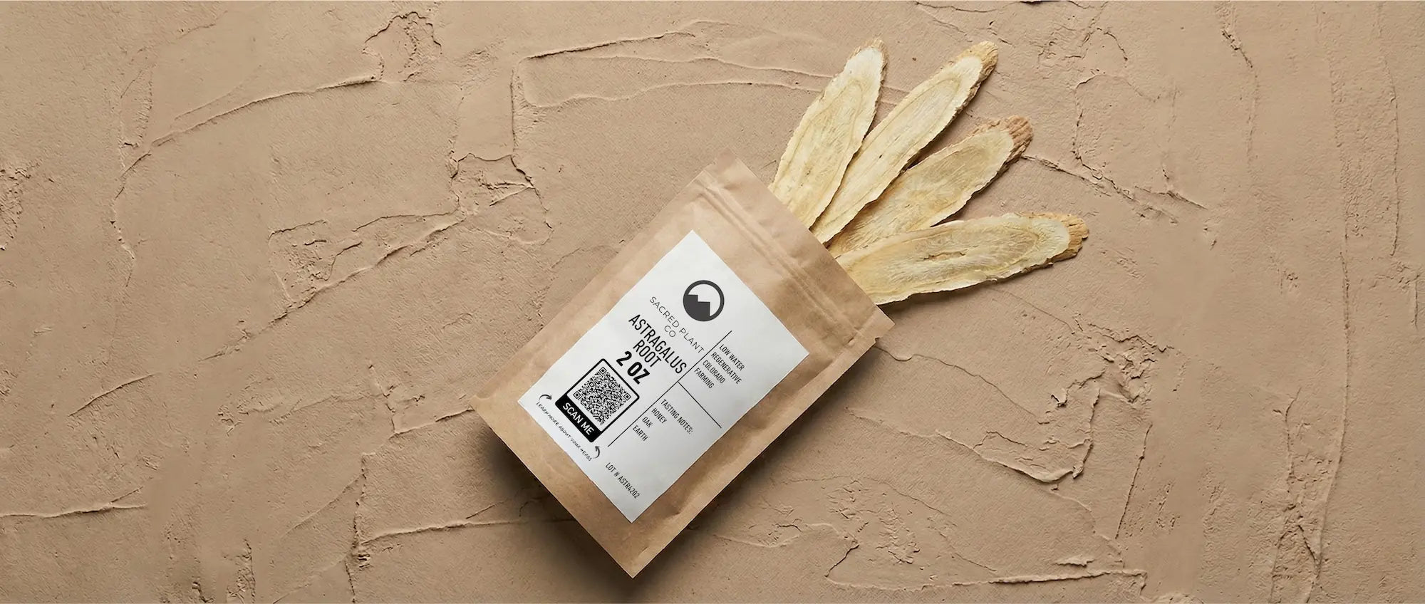 Woman kneeling in a biodynamic farm field harvesting flowering Astragalus plants during golden hour.