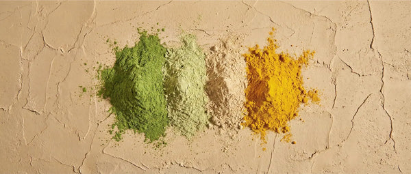 Top-down view of four distinct organic herbal powder textures ranging from deep green moringa to vibrant yellow turmeric on a natural stone surface.