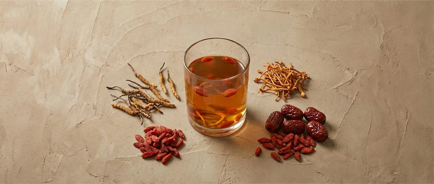 Finished TCM vitality elixir showing rich amber extraction of cordyceps and goji polysaccharides, plated with raw medicinal ingredients on a stone surface.