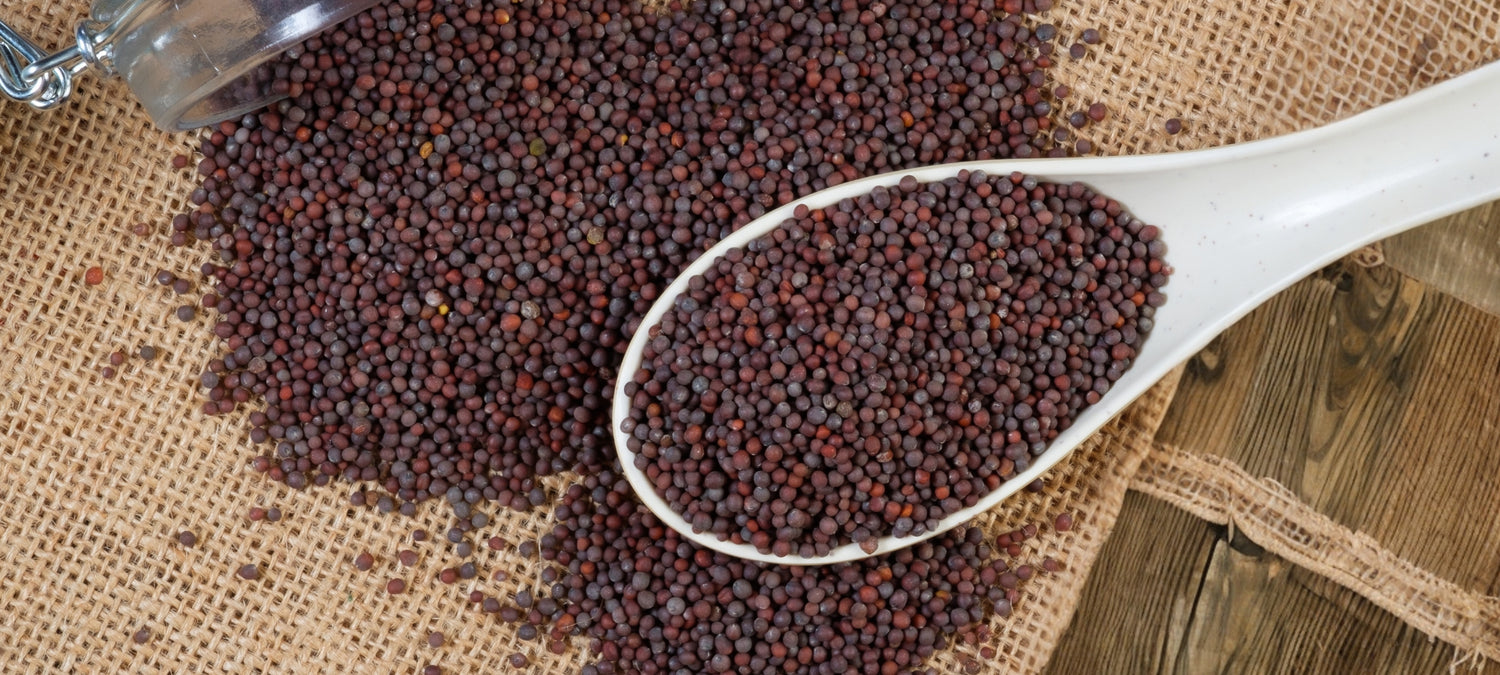 Exploring the Versatility of Brown Mustard Seeds: Culinary Delights and Traditional Remedies