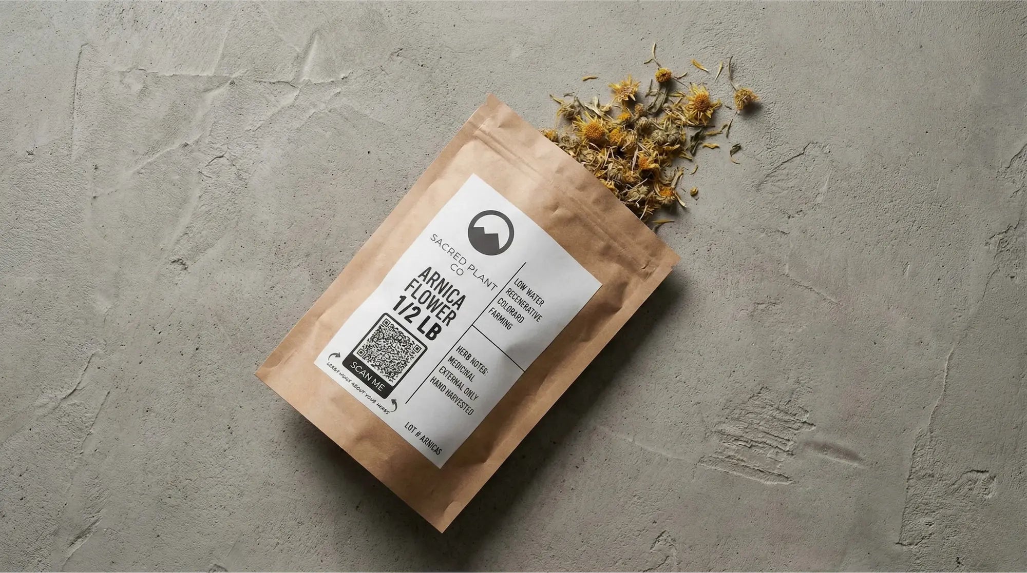 Regeneratively farmed Sacred Plant Co arnica flowers spill from a kraft pouch, rich in helenalin for potent, natural bruise healing