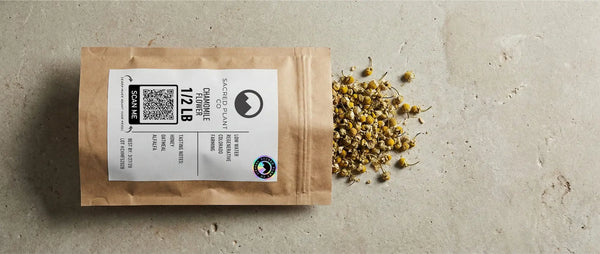A kraft package of Sacred Plant Co bulk dried chamomile flowers spilling whole, bright yellow blossoms onto a stone surface, featuring a QR code for transparency.