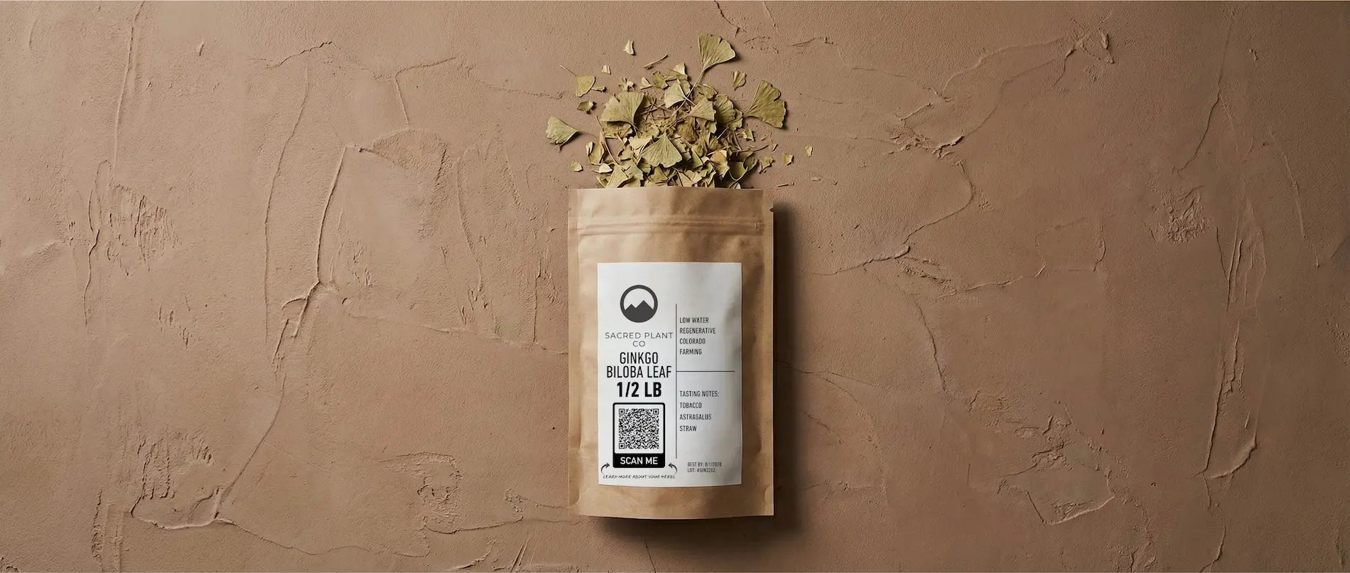 Ginkgo Biloba leaves spilling from packaging, cultivated via low-water regenerative farming for peak cognitive potency.