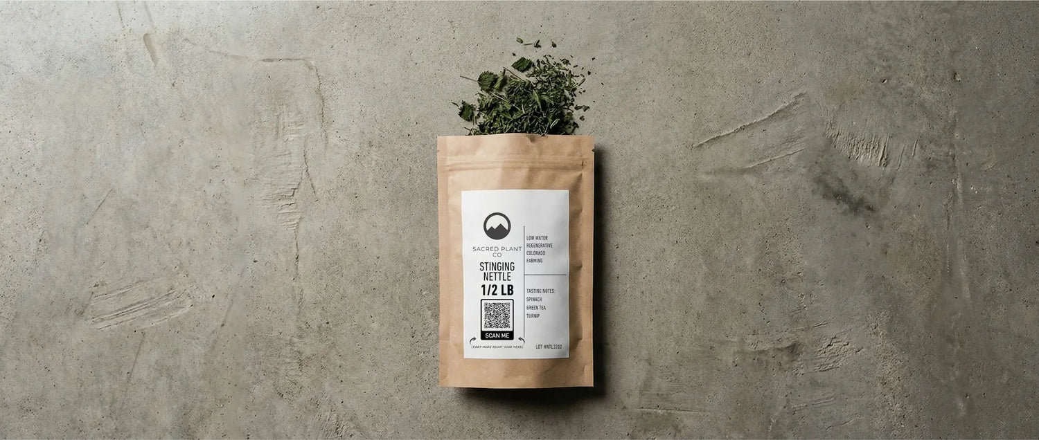 A 1/2 lb kraft bag of premium dried Stinging Nettle leaf from Sacred Plant Co, with vibrant green herbs spilling from the top.