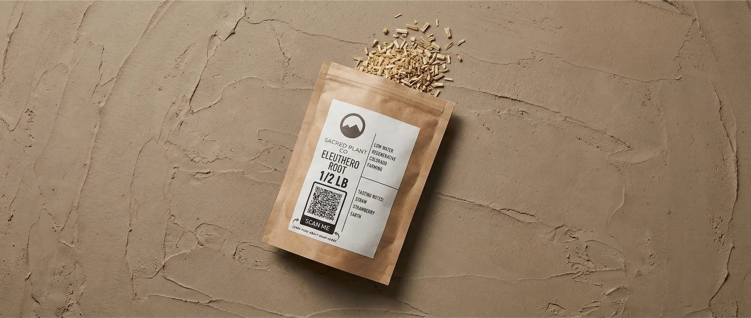 Sacred Plant Co 1/2 lb bag of bulk Eleuthero root lying on textured earth, with dried woody root pieces spilling out.
