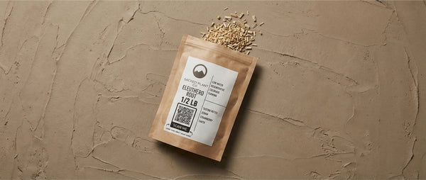 Sacred Plant Co 1/2 lb bag of bulk Eleuthero root lying on textured earth, with dried woody root pieces spilling out.