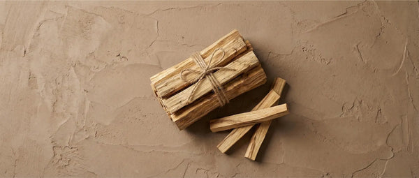 Premium Palo Santo sticks displaying dark amber streaks, indicating proper aging and high essential oil content.