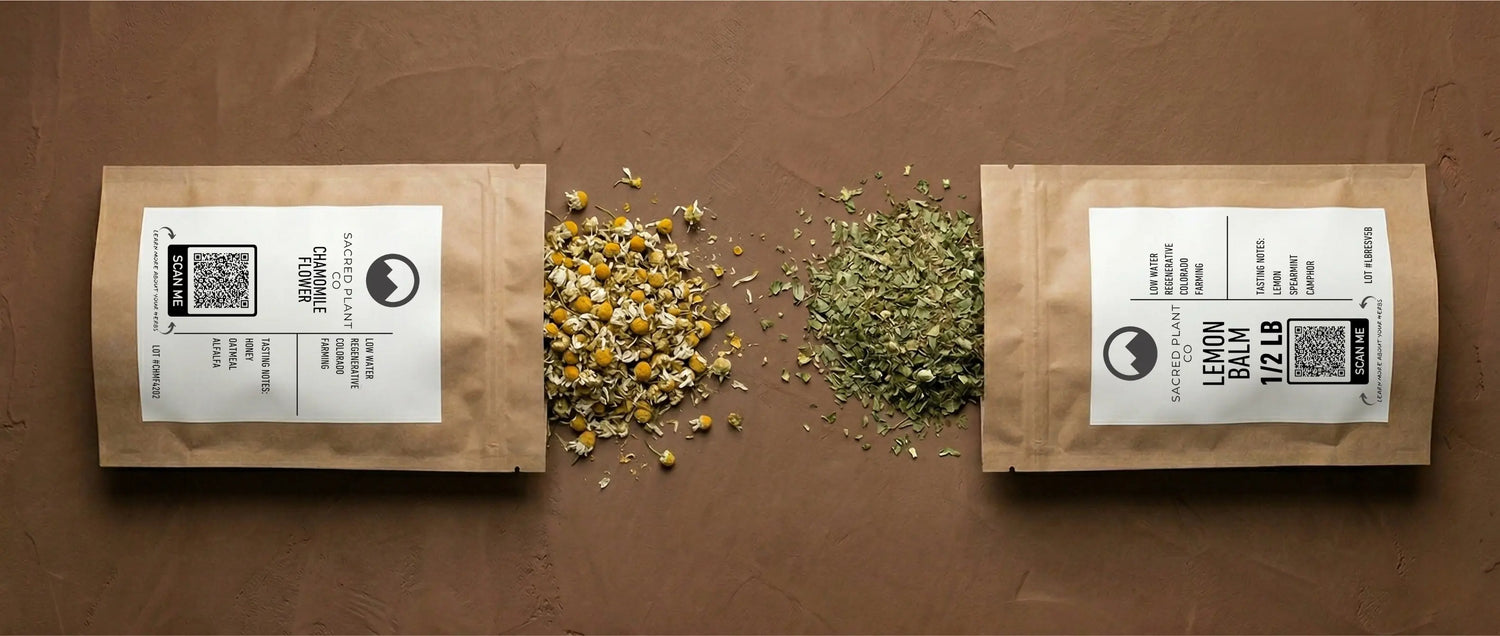 Lemon balm vs chamomile flower comparison: Sacred Plant Co kraft bags spilling dried green lemon balm leaves and whole yellow chamomile blossoms.