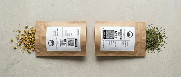 Flat lay of Sacred Plant Co premium loose leaf herbs featuring golden chamomile flowers and bright green peppermint leaf in half-pound kraft pouches with regenerative farming labels.