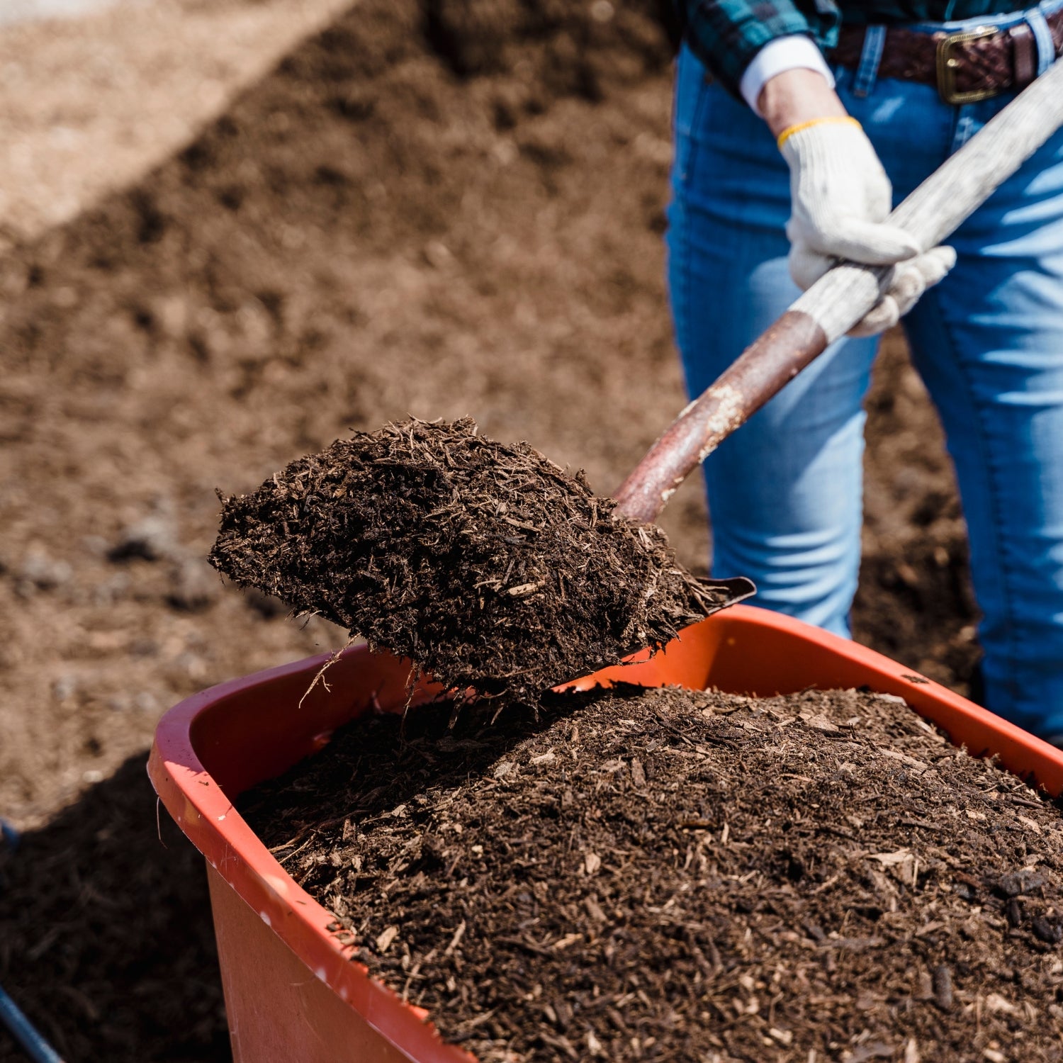 Enhancing Soil Health with Coffee Grounds: A Regenerative Farming Approach