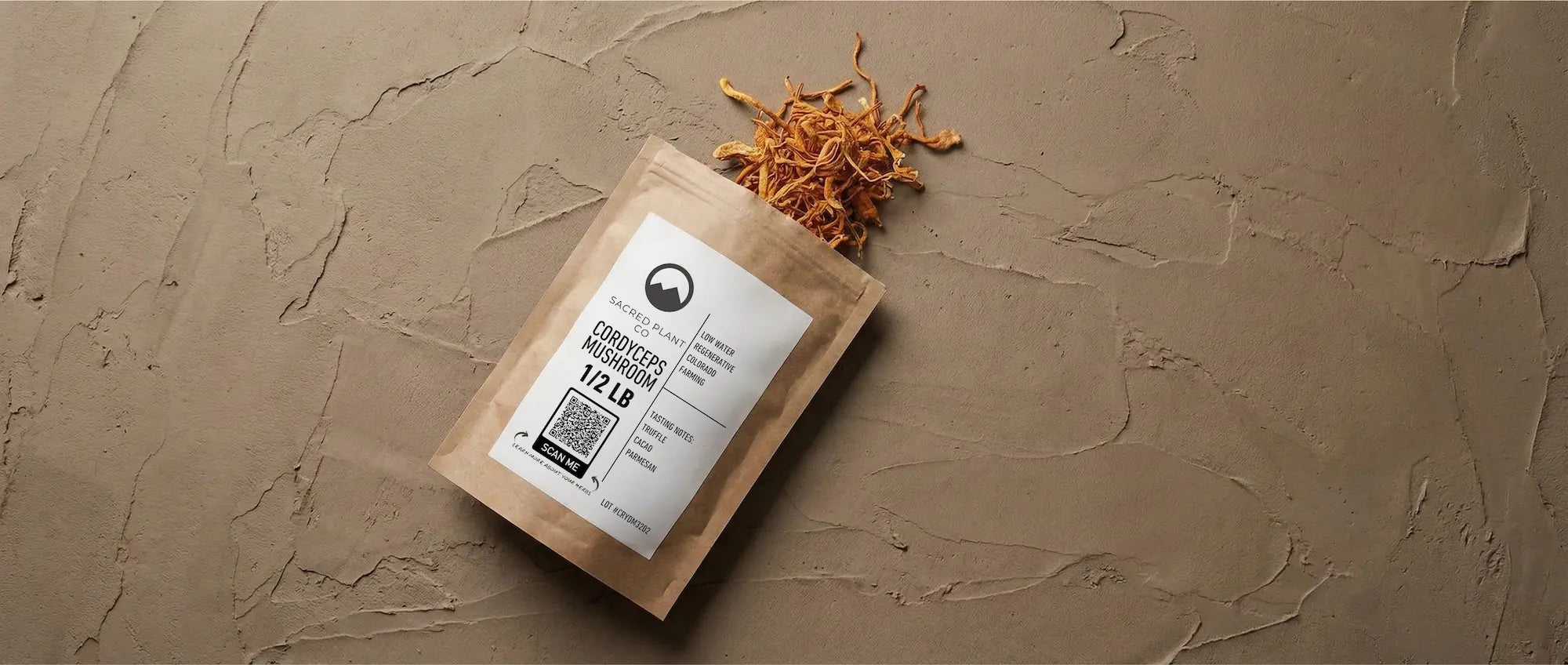 Premium Cordyceps militaris whole herbs for energy support, showing the distinct orange color of high-quality fruiting bodies.