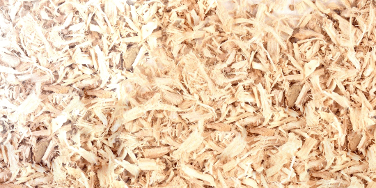 Exploring the Historical Uses and Benefits of Stillingia Root: A Guide to Using Cut and Sifted Stillingia Root