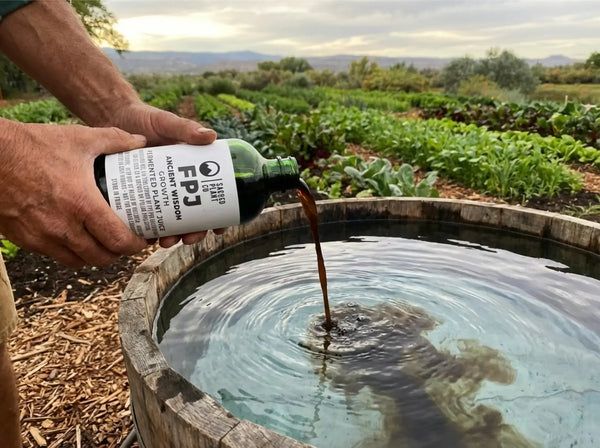 What Is KNF? Korean Natural Farming on a Working Herb Farm