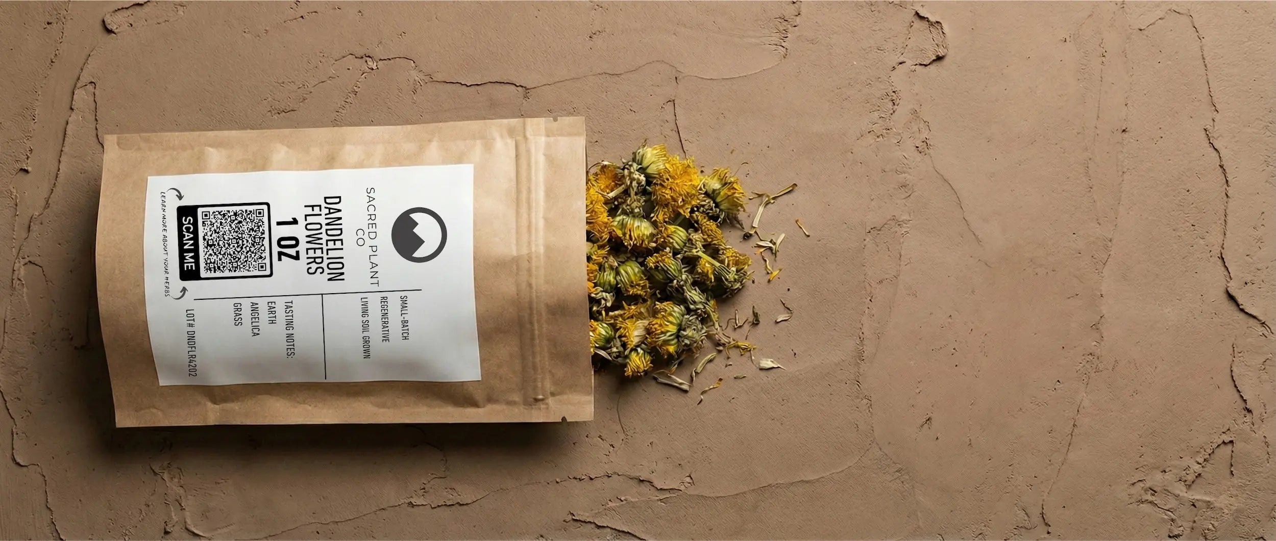 Dried dandelion flowers spilling from a brown kraft paper pouch onto a textured, earthy clay surface.