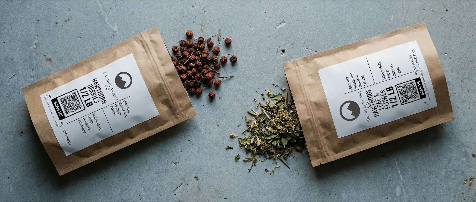 Two kraft paper apothecary bags from Sacred Plant Co lying on a textured surface, with regeneratively grown dried Hawthorn Berries spilling from the left bag and green Hawthorn Leaf and Flower spilling from the right.