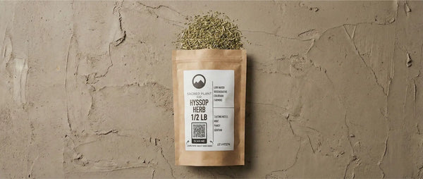Sacred Plant Co bulk dried hyssop herb package with spilled green-gray dried leaves and stems on a textured earth-tone surface.