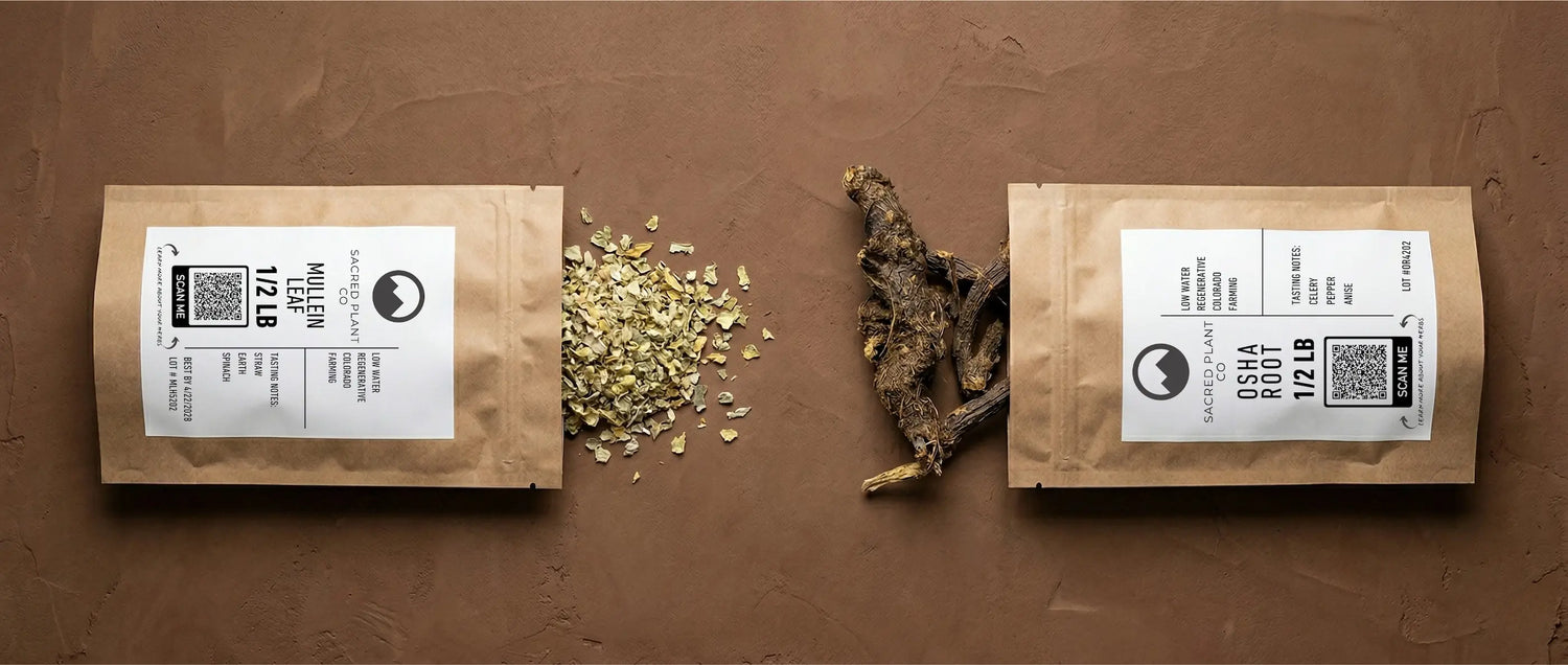 Side-by-side comparison of Sacred Plant Co dried mullein leaf and whole osha root spilling from half-pound kraft apothecary bags, showcasing the physical differences between these two respiratory wellness herbs.