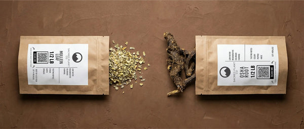 Side-by-side comparison of Sacred Plant Co dried mullein leaf and whole osha root spilling from half-pound kraft apothecary bags, showcasing the physical differences between these two respiratory wellness herbs.