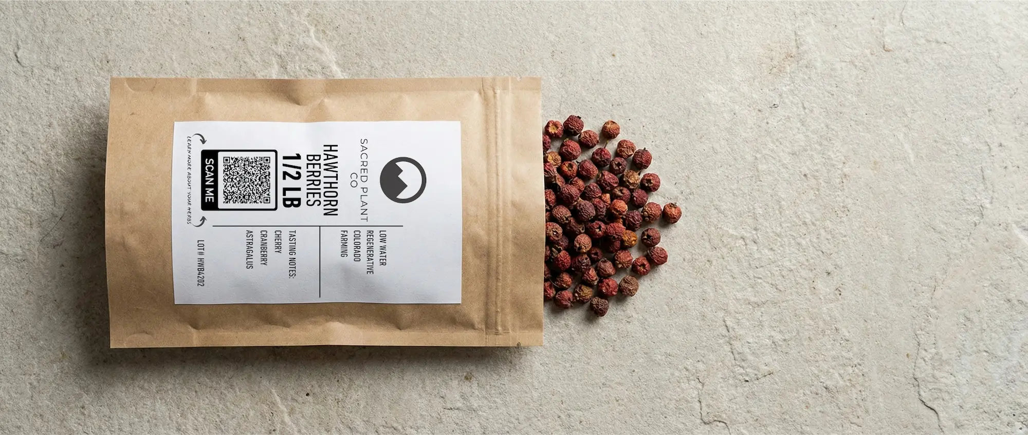 High-quality dried hawthorn berries spilling from a kraft paper bag onto a stone surface, showing deep burgundy color and intact, non-crumbled texture.