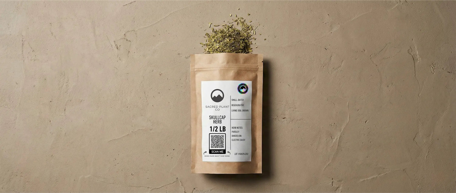 Eco-friendly kraft paper pouch of dried Skullcap herb laying on a textured stone surface, with vibrant green dried leaves spilling from the top, demonstrating proper drying and storage color.