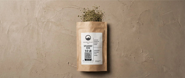 Packaging for Sacred Plant Co wildcrafted Mentha spicata, showing cut and sifted leaves used for digestive tea and hormonal balance support.