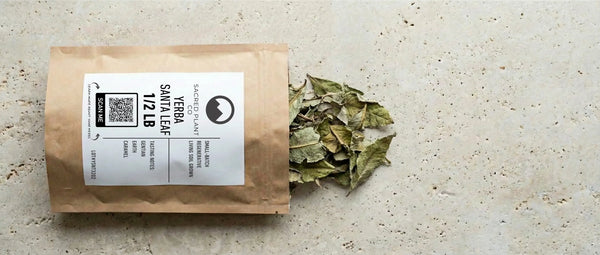 Dried Yerba Santa leaves spilling from a brown kraft paper pouch with a white label on a stone surface.