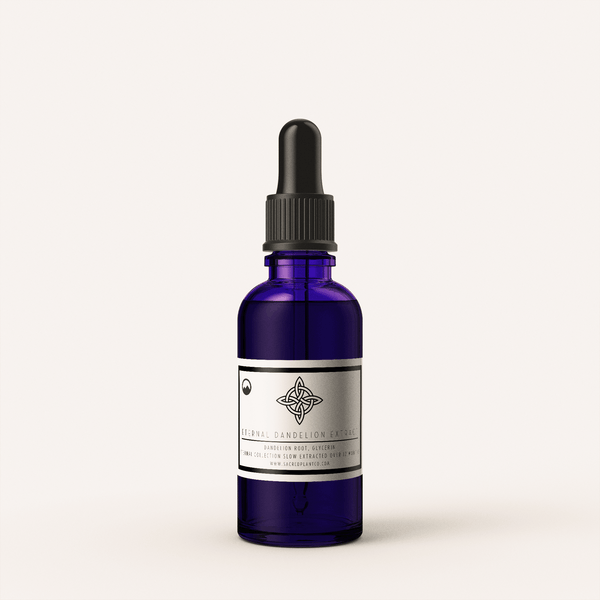Dandelion Root Tincture: A Complete Guide to Glycerin Extraction, Dosing &amp; The Eternal Extract Method