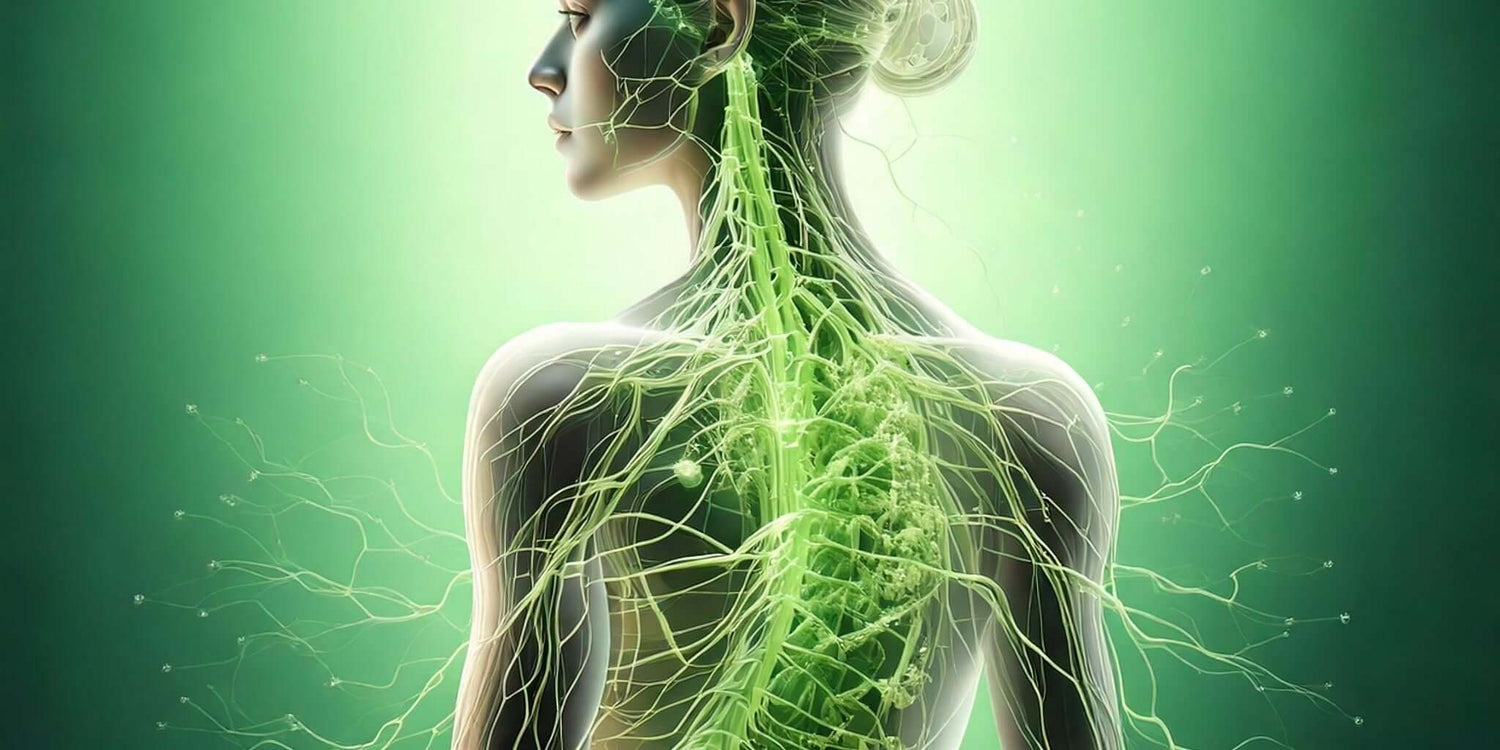 A visually striking depiction of nerve pathways in a human body, illuminated in green tones, symbolizing vitality and regeneration.