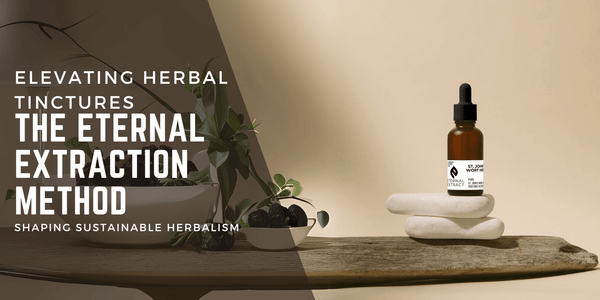 A minimalistic design featuring a bottle of Sacred Plant Co's St. John’s Wort Eternal Extract tincture placed on smooth white stones and driftwood, highlighting the elegance and purity of the product