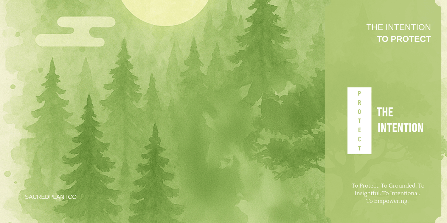Forest-themed illustration with layered green pine trees and soft watercolor textures, evoking the herbal intention To Protect.