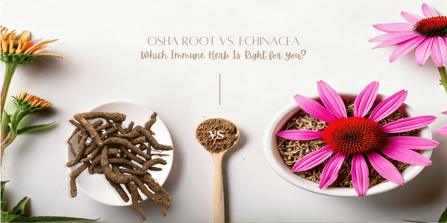 The image presents a side-by-side comparison of Osha Root and Echinacea, with each herb displayed in its natural and dried forms.