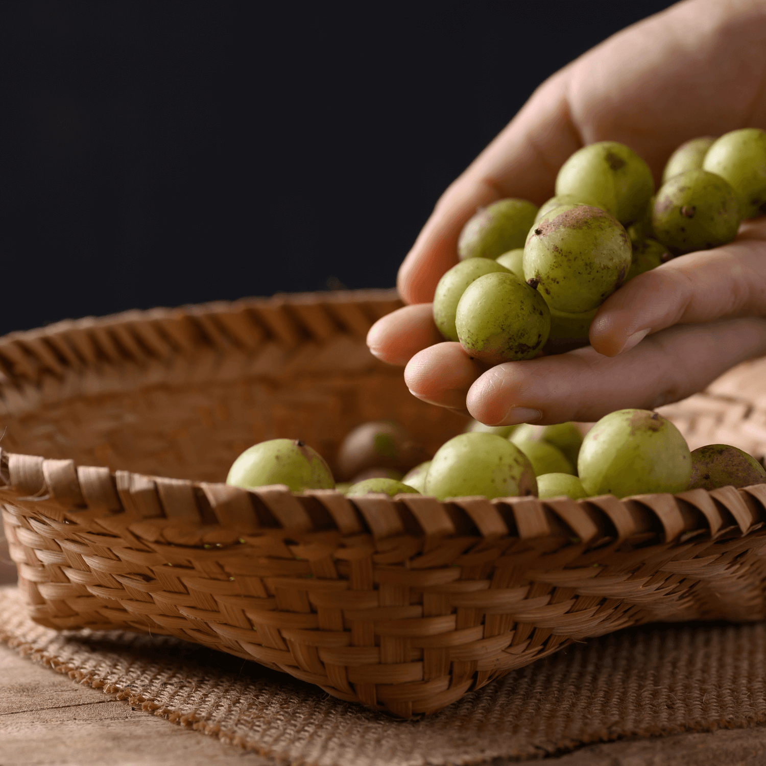 Harnessing the Power of Amla: Sadhguru's Insights and Sacred Plant Co's Amla Powder