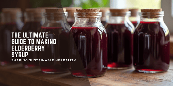 Glass jars of deep-purple elderberry syrup with cork lids on a rustic wood countertop. Rich color highlights its immune-boosting benefits.