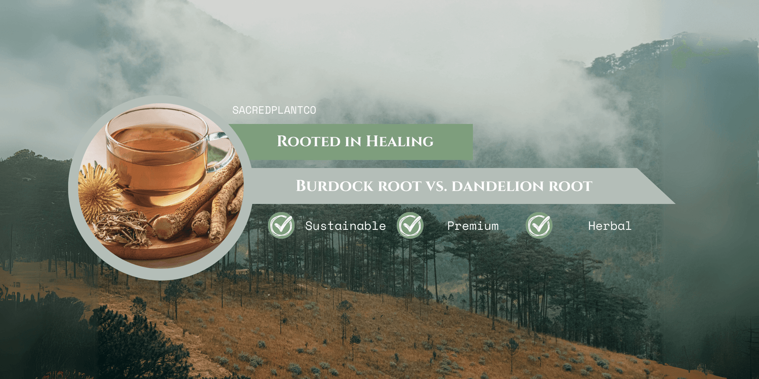 Burdock root and dandelion root with herbal tea in glass cup on wood board, symbolizing sustainable liver support and detox wellness with Sacred Plant Co.