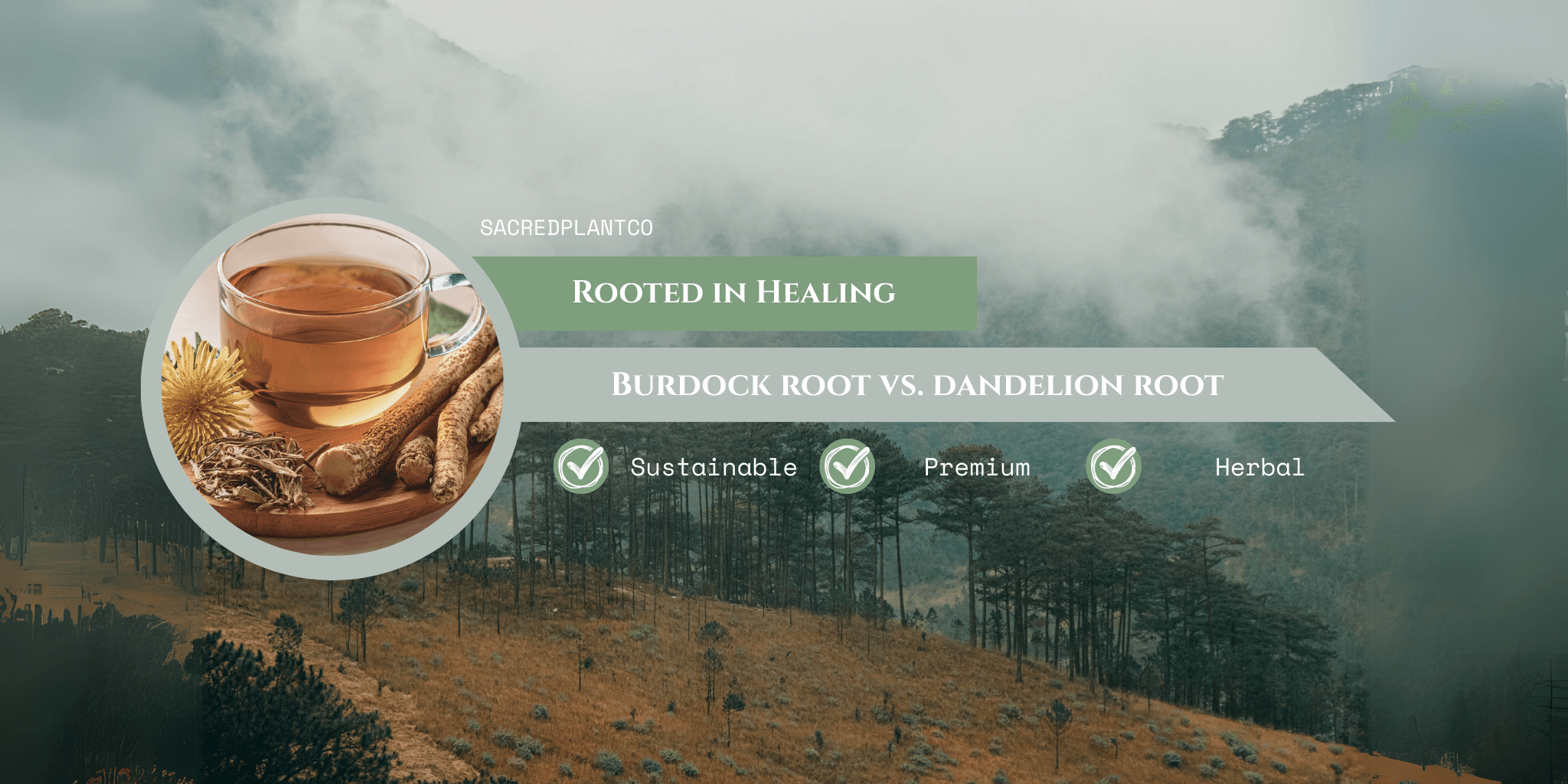 Burdock root and dandelion root with herbal tea in glass cup on wood board, symbolizing sustainable liver support and detox wellness with Sacred Plant Co.