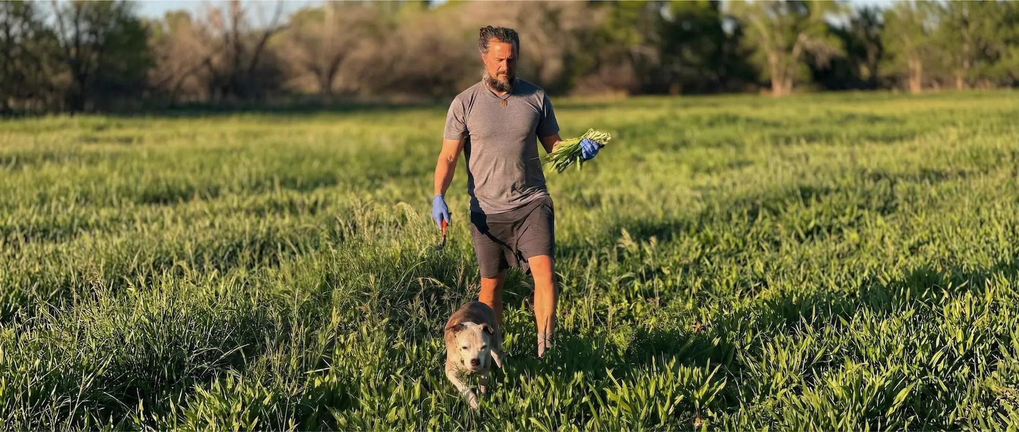 The Sacred Plant Co founder walking through established herb gardens with a companion animal, demonstrating the farm-to-bowl philosophy.