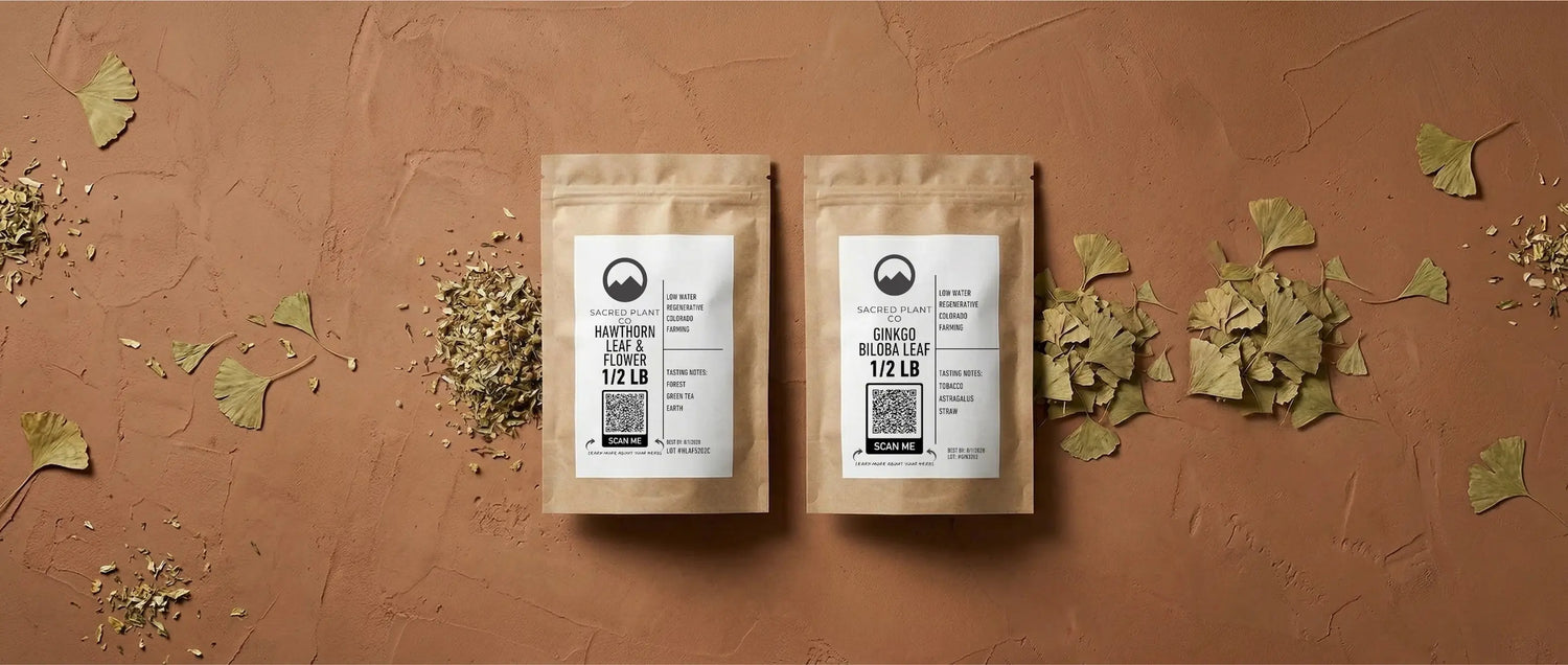 Side-by-side comparison of Sacred Plant Co premium Hawthorn Leaf & Flower and Ginkgo Biloba Leaf in half-pound kraft pouches, surrounded by scattered fan-shaped ginkgo leaves and chopped hawthorn, representing herbal circulation support.