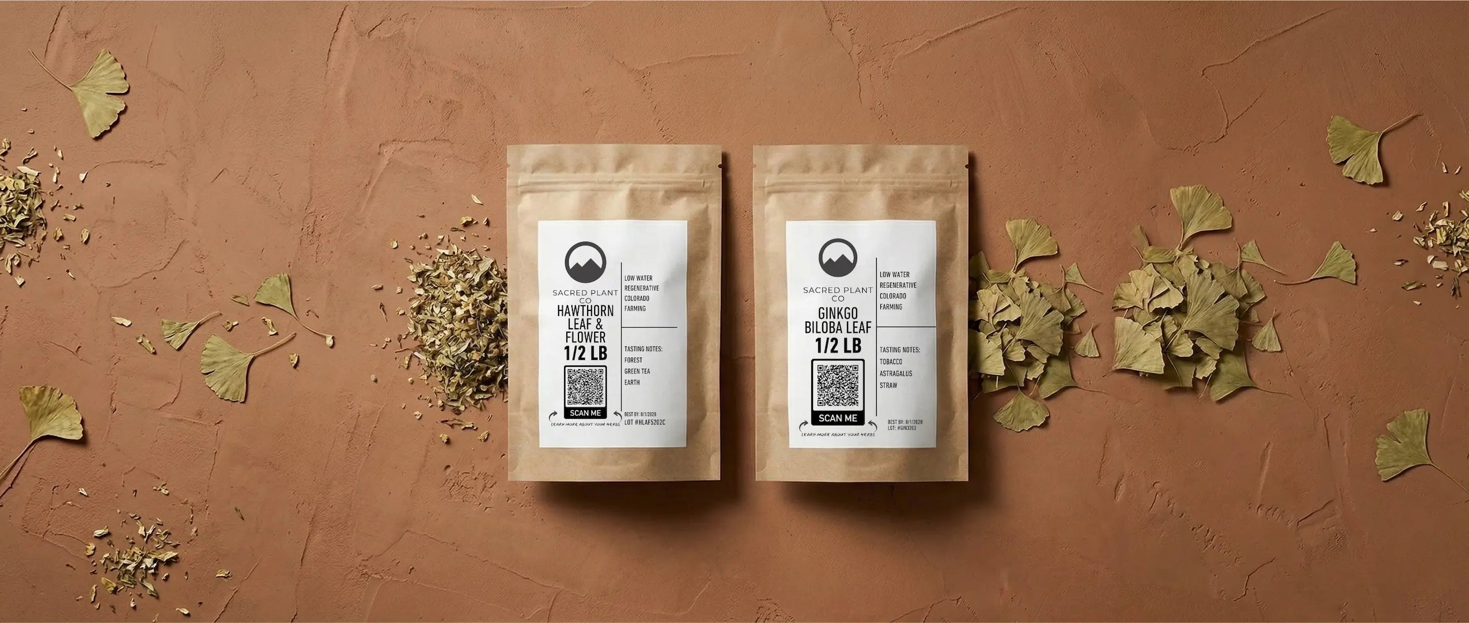Side-by-side comparison of Sacred Plant Co premium Hawthorn Leaf & Flower and Ginkgo Biloba Leaf in half-pound kraft pouches, surrounded by scattered fan-shaped ginkgo leaves and chopped hawthorn, representing herbal circulation support.