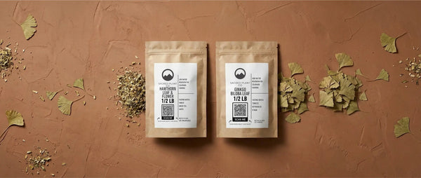 Side-by-side comparison of Sacred Plant Co premium Hawthorn Leaf & Flower and Ginkgo Biloba Leaf in half-pound kraft pouches, surrounded by scattered fan-shaped ginkgo leaves and chopped hawthorn, representing herbal circulation support.