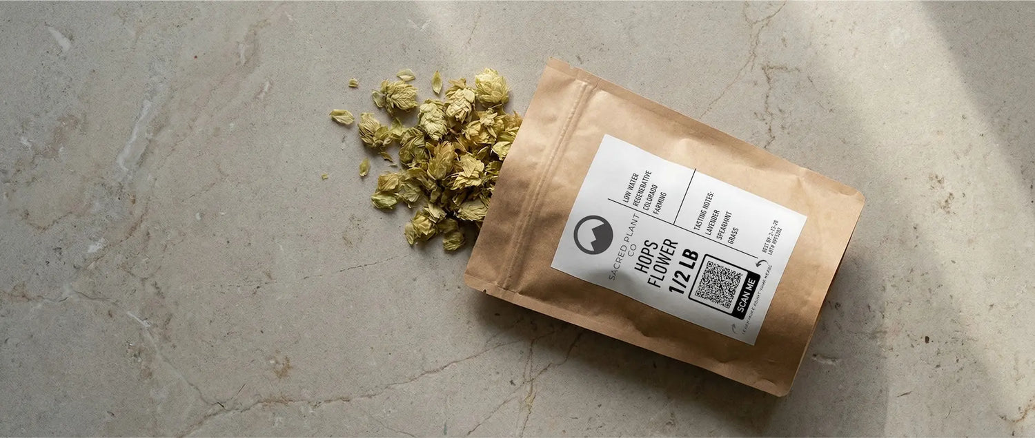 A 1/2 lb kraft bag of Sacred Plant Co dried hops flowers spilling onto a sunlit stone surface, showcasing the peak-harvest green cones traditionally used in Lughnasadh brewing and apothecary blends.